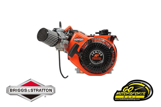 GO Kart | Briggs & Stratton Jr LO206 Engine 124332 - 8202 - GO Motorsports Shop