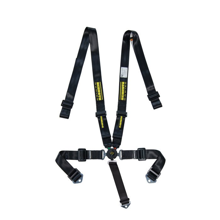 5 point camlock harness best sale