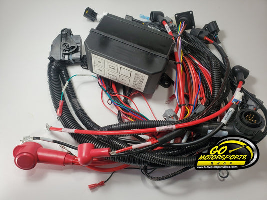 Wiring Harness for FZ09 / MT09 | Legend Car - GO Motorsports Shop